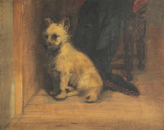 Attributed to George Armfield Study of a West Highland Terrier, 9.75 x 12.5in.